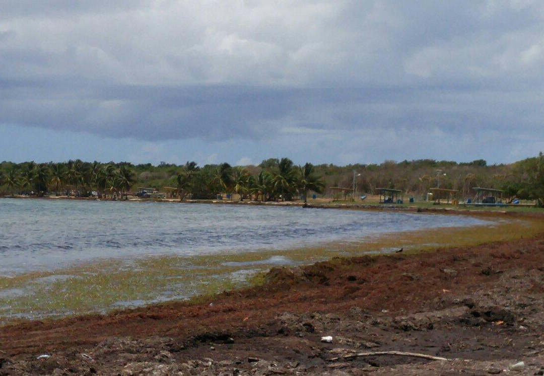 Reserva Natural Medio Mundo y Daguao-Ceiba必去景点