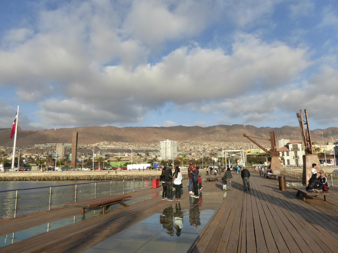 Muelle Salitrero Compañía Melbourne Clark景点图片
