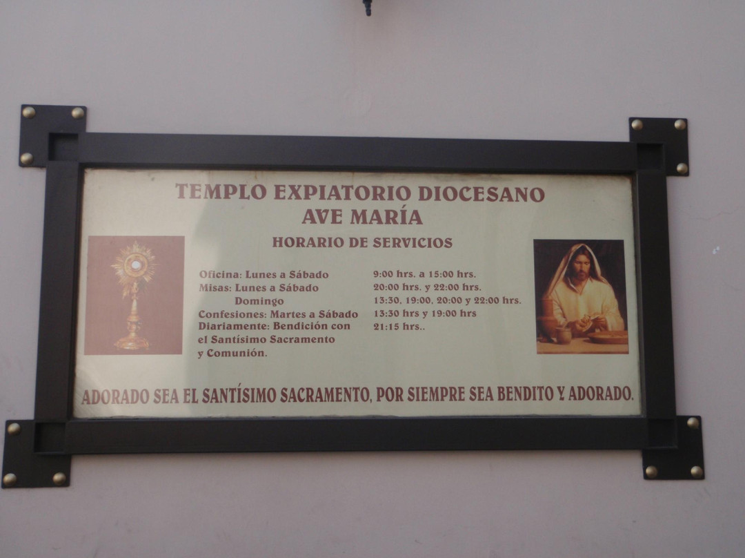 Templo Expiatorio Ave Maria景点图片