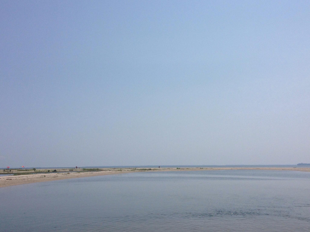 Flag Ponds Nature Park景点图片