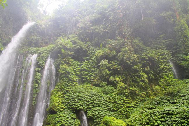 HaLoMi Trekker-Senaru必去景点