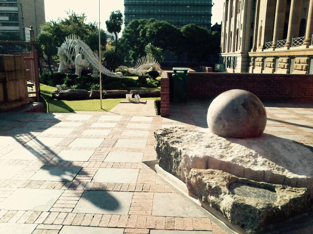 Museum of Natural History-比勒陀利亚必去景点