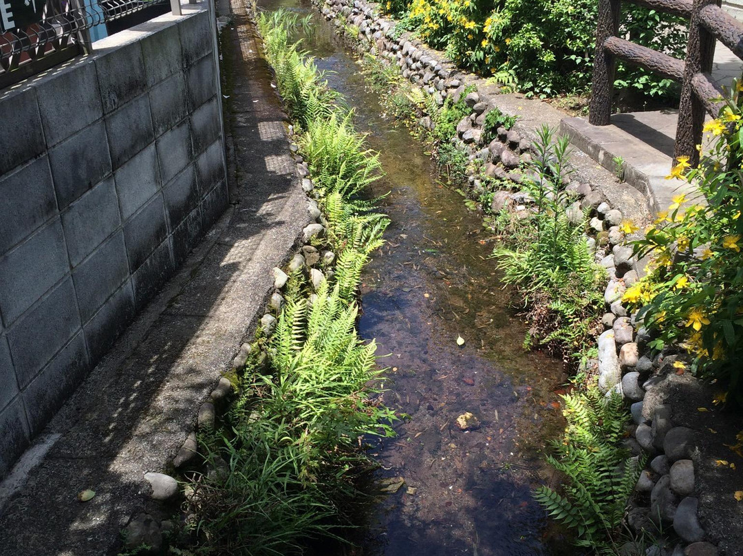 Masugata no Ike Group of Springs/Otaka no Michi-国分寺市必去景点