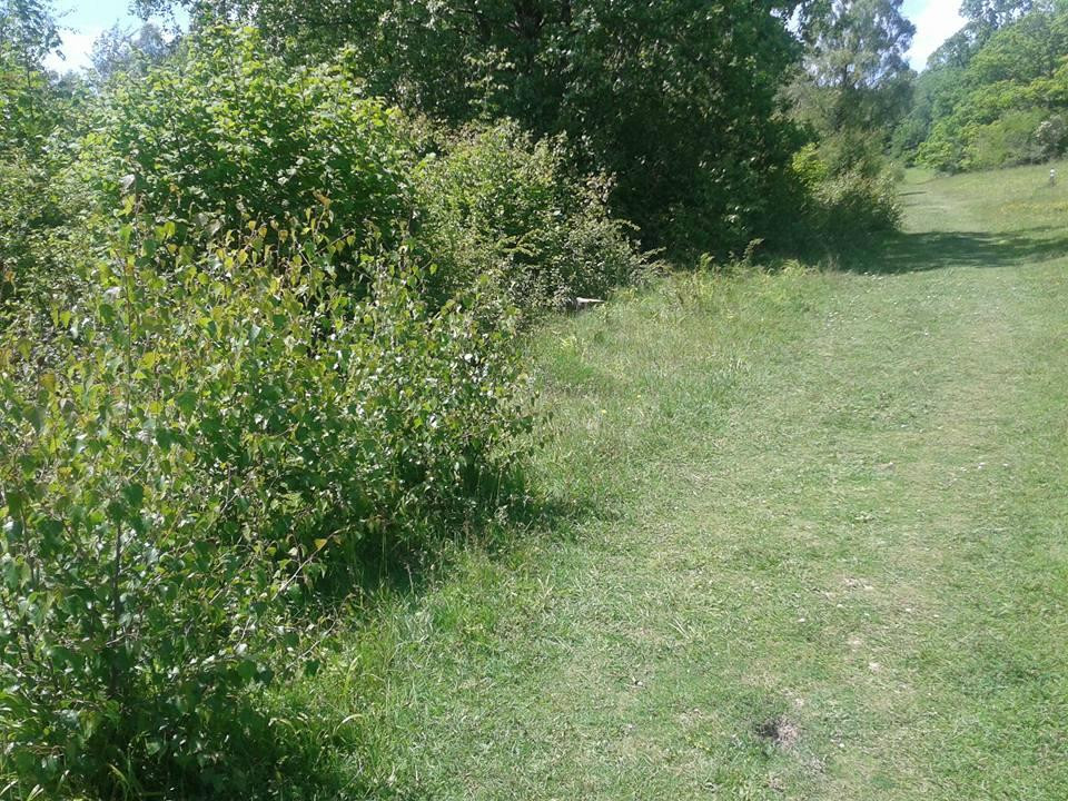 Warburg Nature Reserve景点图片