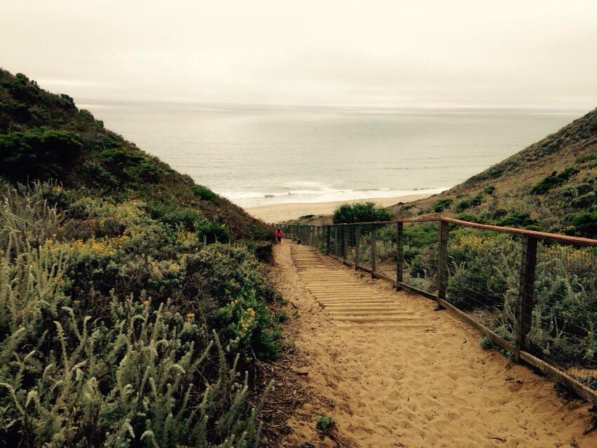 Sunset State Beach-沃森维尔必去景点