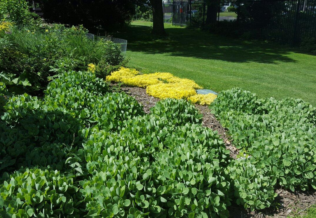 Luthy Botanical Garden-皮奥里亚必去景点