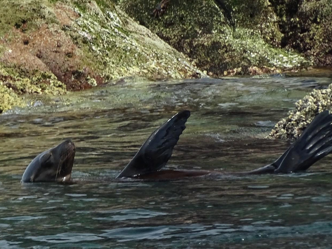 科提兹海-下加利福尼亚州必去景点