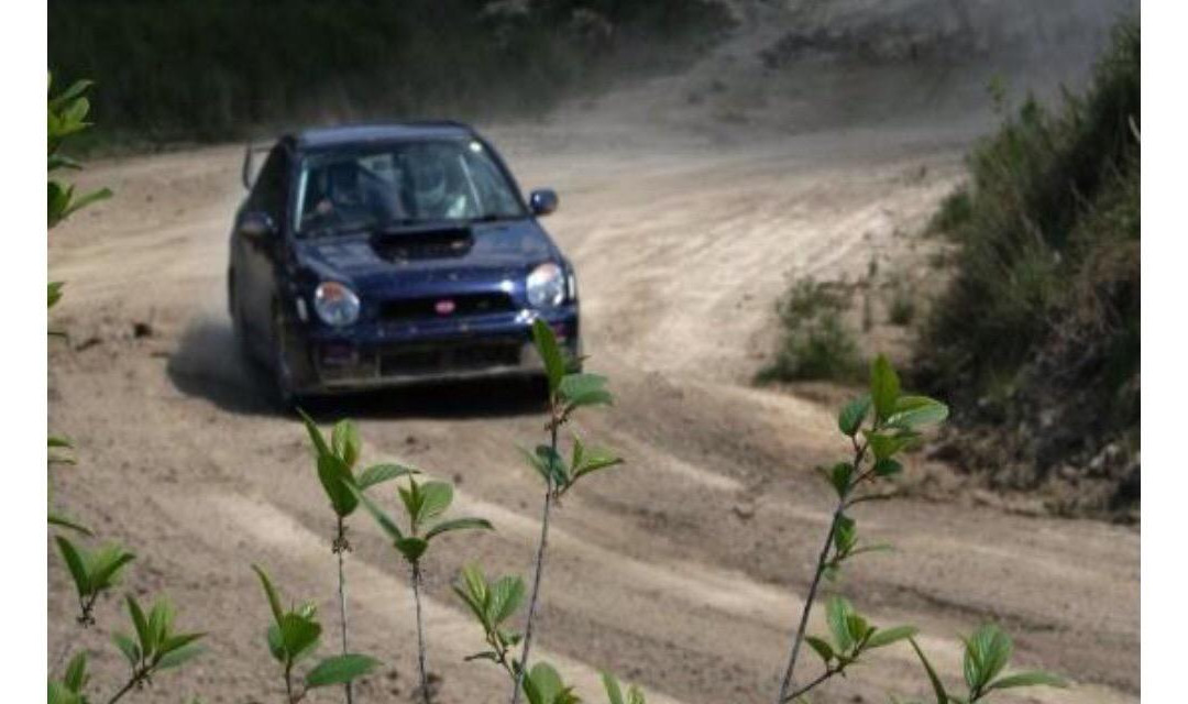Race Rally 4x4景点图片