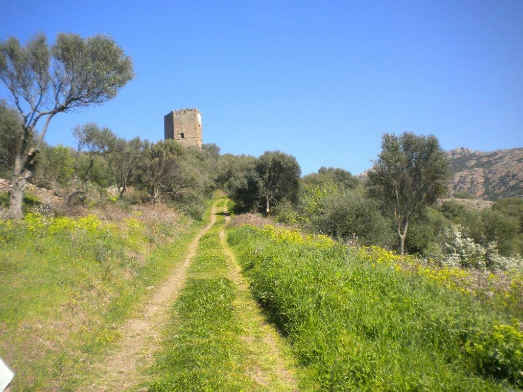 Santa Maria Coghinas旅游景点-Castello dei Doria