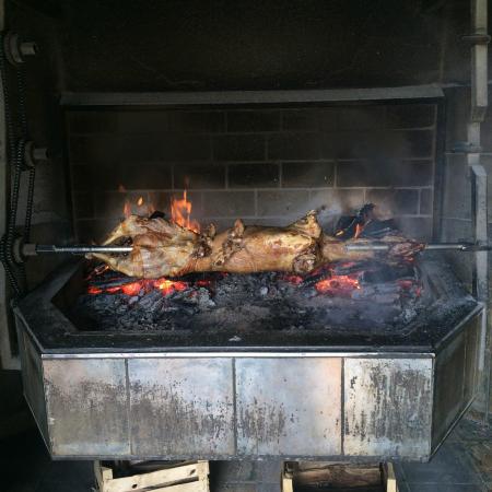 Tamaris Pension Restaurant-餐饮