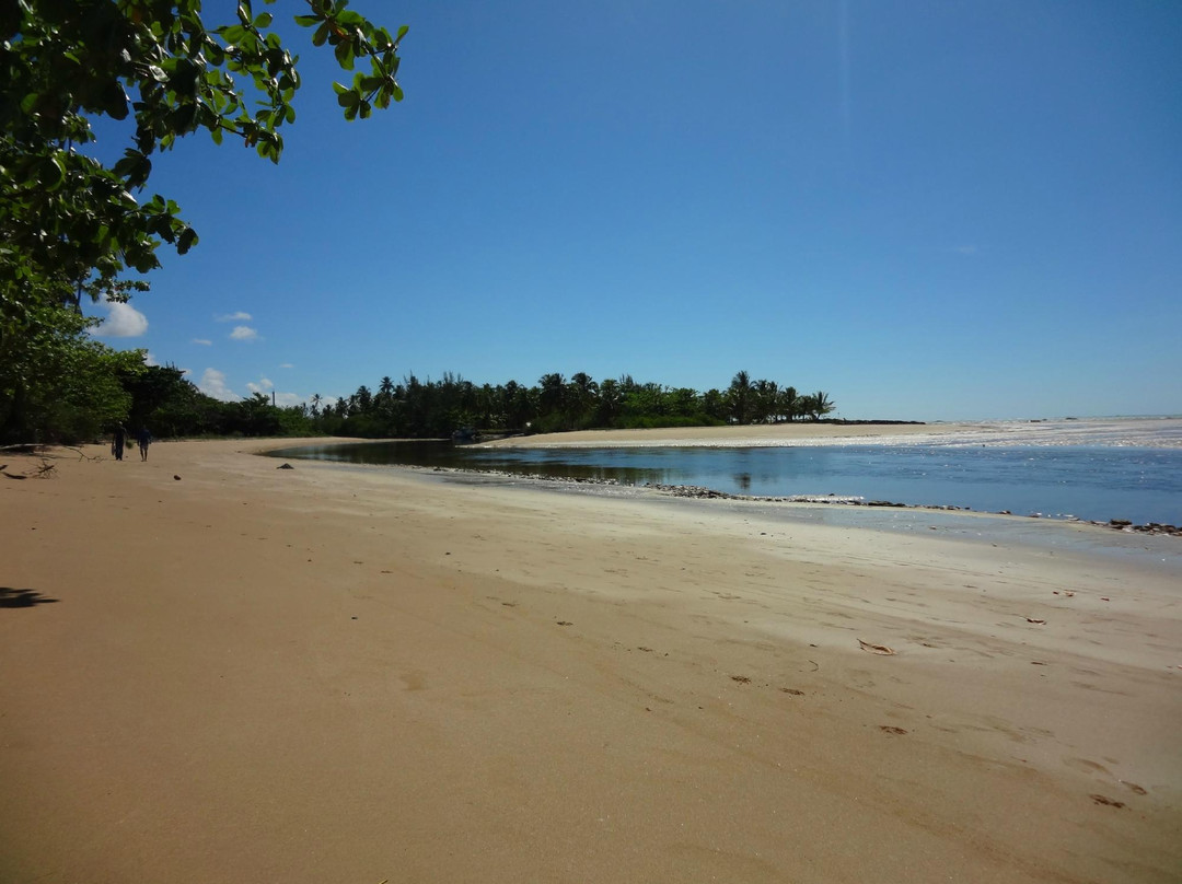 Camacho Beach-Maragogi必去景点