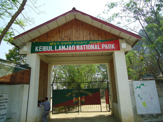 Keibul Lamjao National Park-Bishnupur District必去景点
