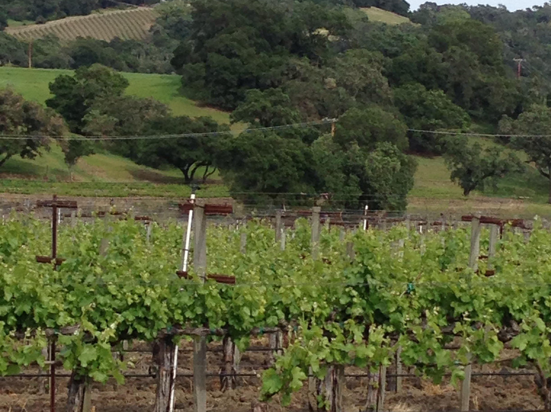 deLorimier Winery景点图片