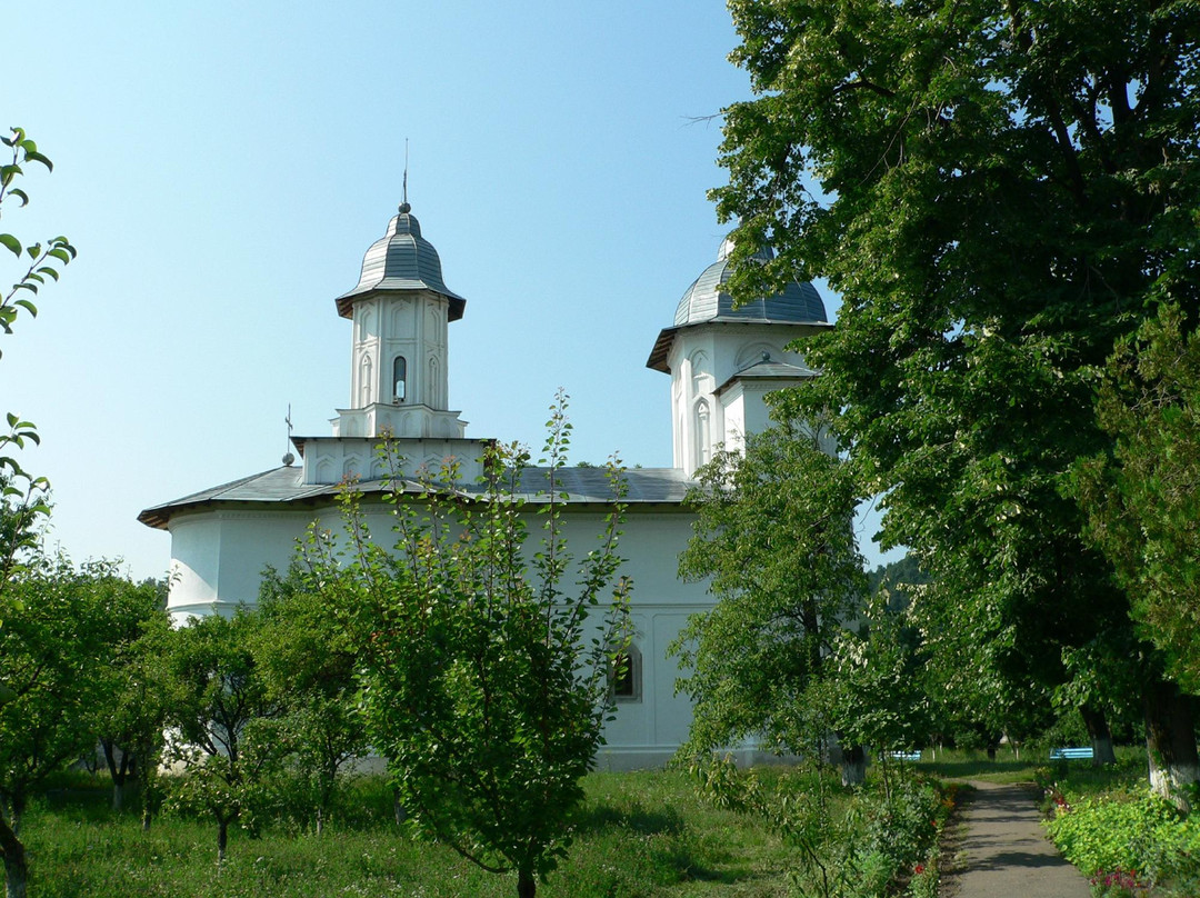 Biserica Buna Vestire景点图片