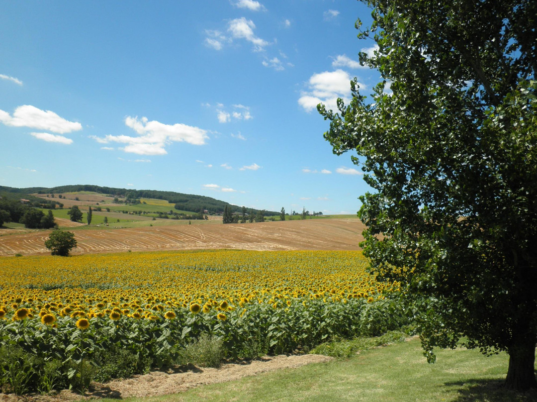 Domaine de la Vigne主图