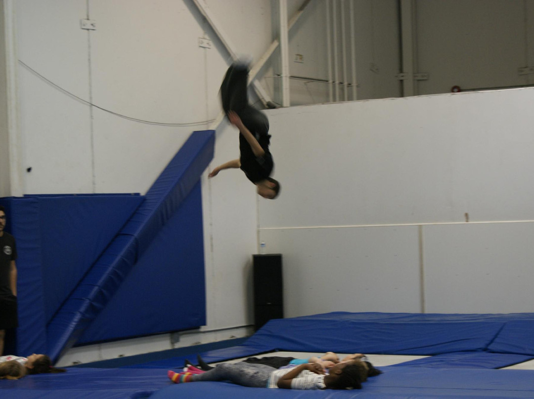 Airborne Trampoline Woodbridge景点图片