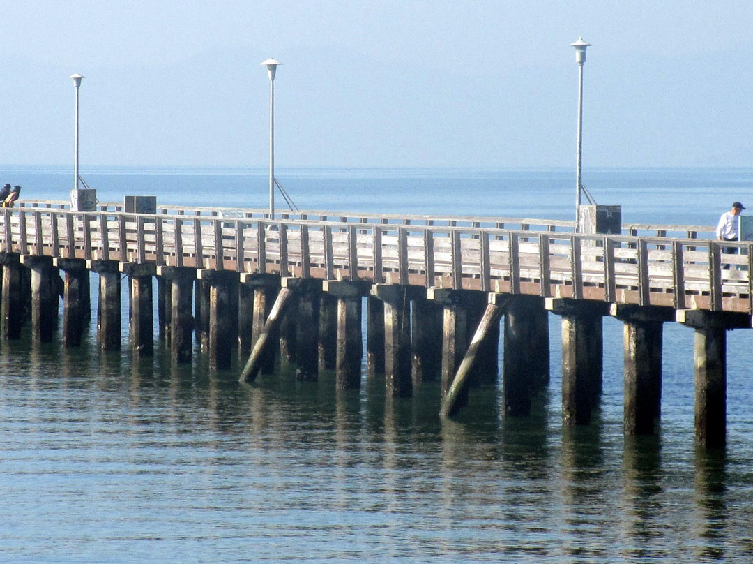 Eastshore State Park-伯克利必去景点
