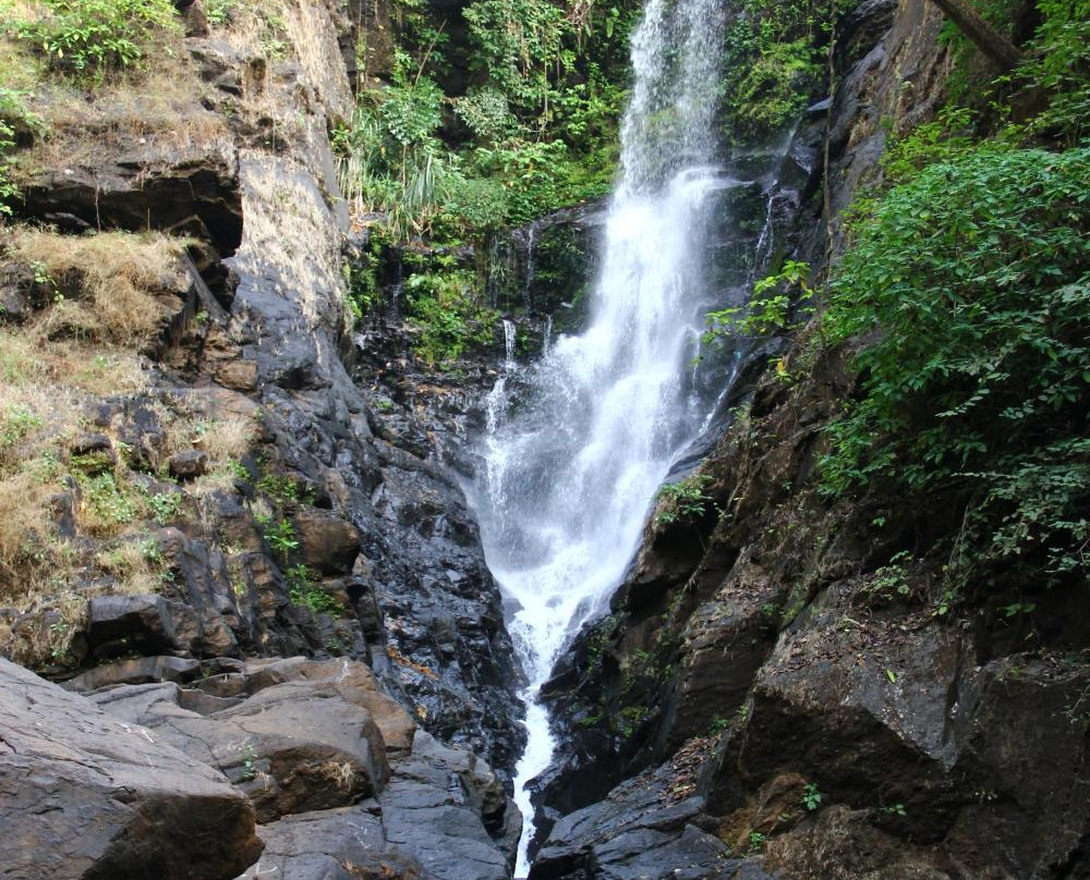 Netravali Wildlife Sanctuary景点图片