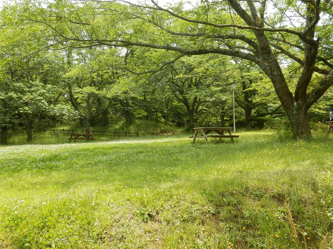 Chiba Inbanuma Park-印西市必去景点