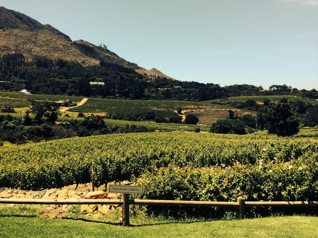 Constantia Glen Winery-康士坦提亚必去景点