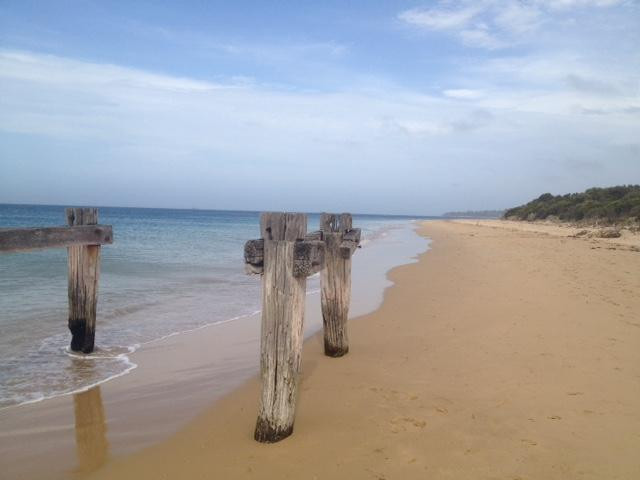 Point Nepean National Park-波特西必去景点