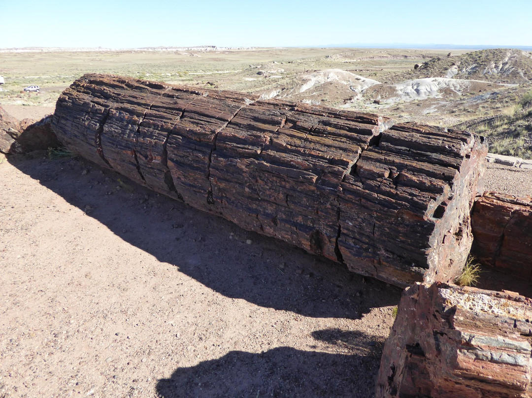 Painted Desert-石化林国家公园必去景点