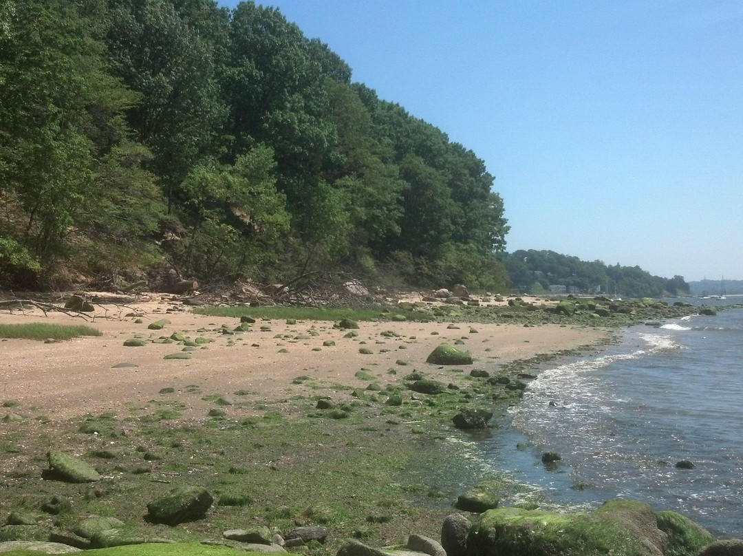 Garvies Point Museum and Preserve景点图片