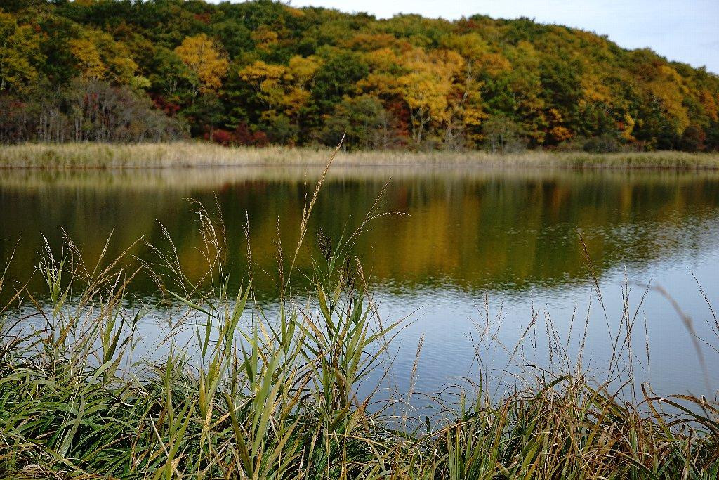 Gozaisho Pond and Goshiki Pond-八幡平市必去景点