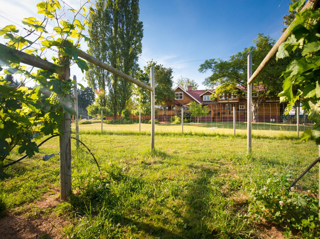 Unsworth Vineyards Tasting Room-Mill Bay必去景点