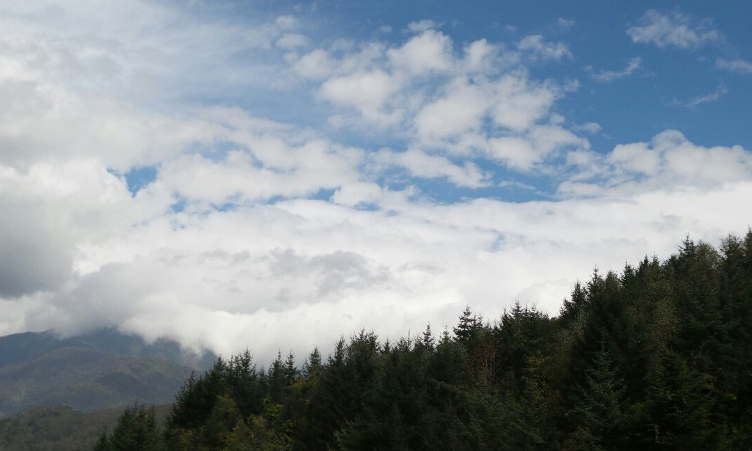 东拉山神木垒-雅安市必去景点