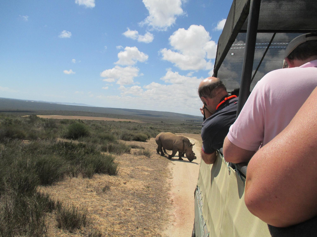 Buffelsfontein Game & Nature Reserve - Day Tours景点图片