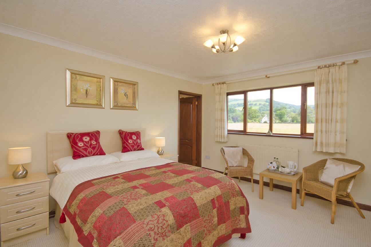 Tall Trees Country House B & B-酒店景观