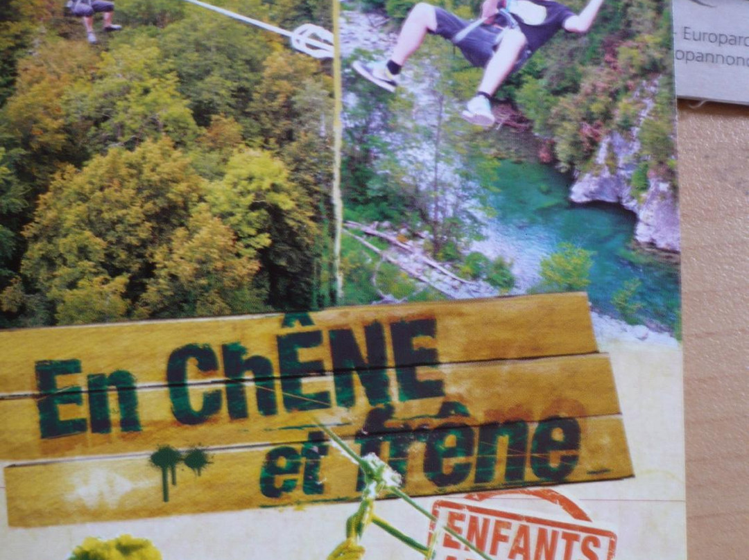 Parc Accrobranche En Chêne et Frêne-Luz-Saint-Sauveur必去景点