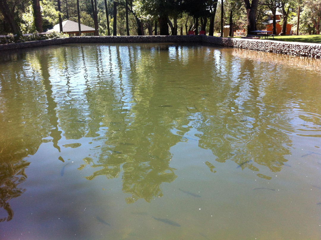 Rancho Tonto Catch-A-Trout-Payson必去景点