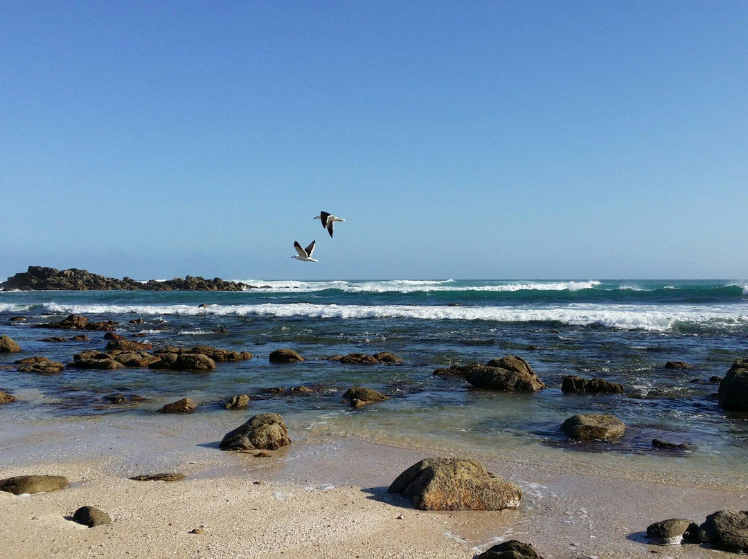 Cape Recife Lighthouse Villa景点图片