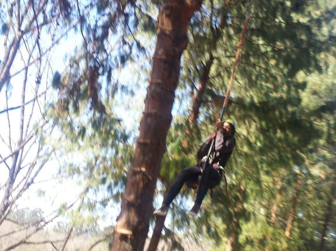 Drakensberg Boys Choir School-Cathkin Park必去景点