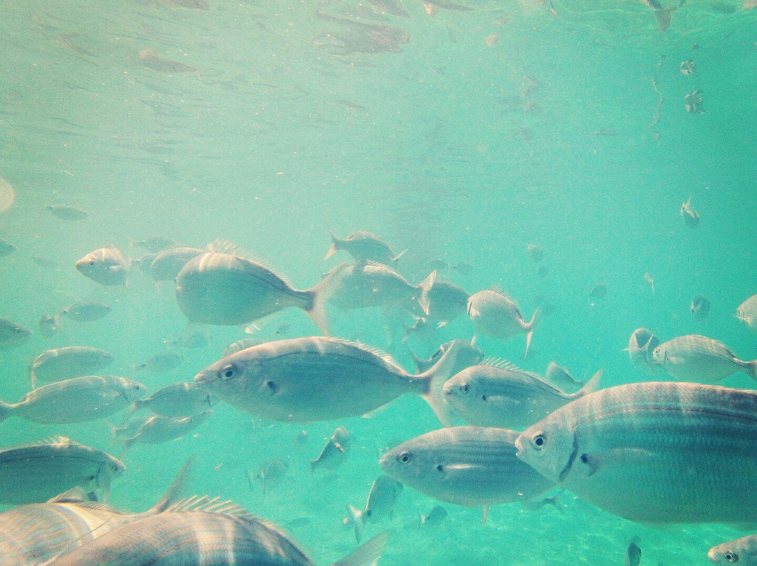 Spiaggia delle Ghiaie景点图片