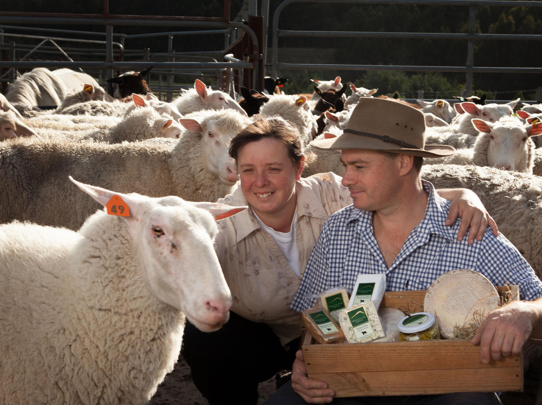 Prom Country Cheese-Moyarra必去景点