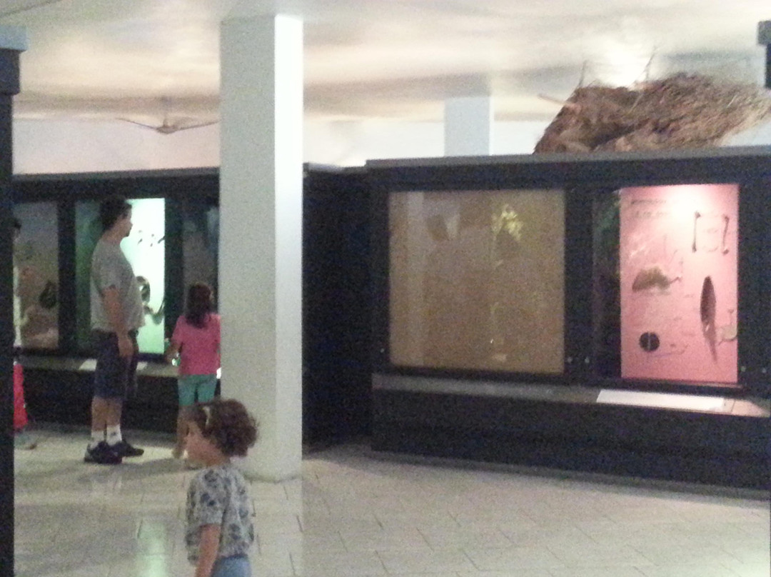 Jardim Botânico-阿雷格里港必去景点