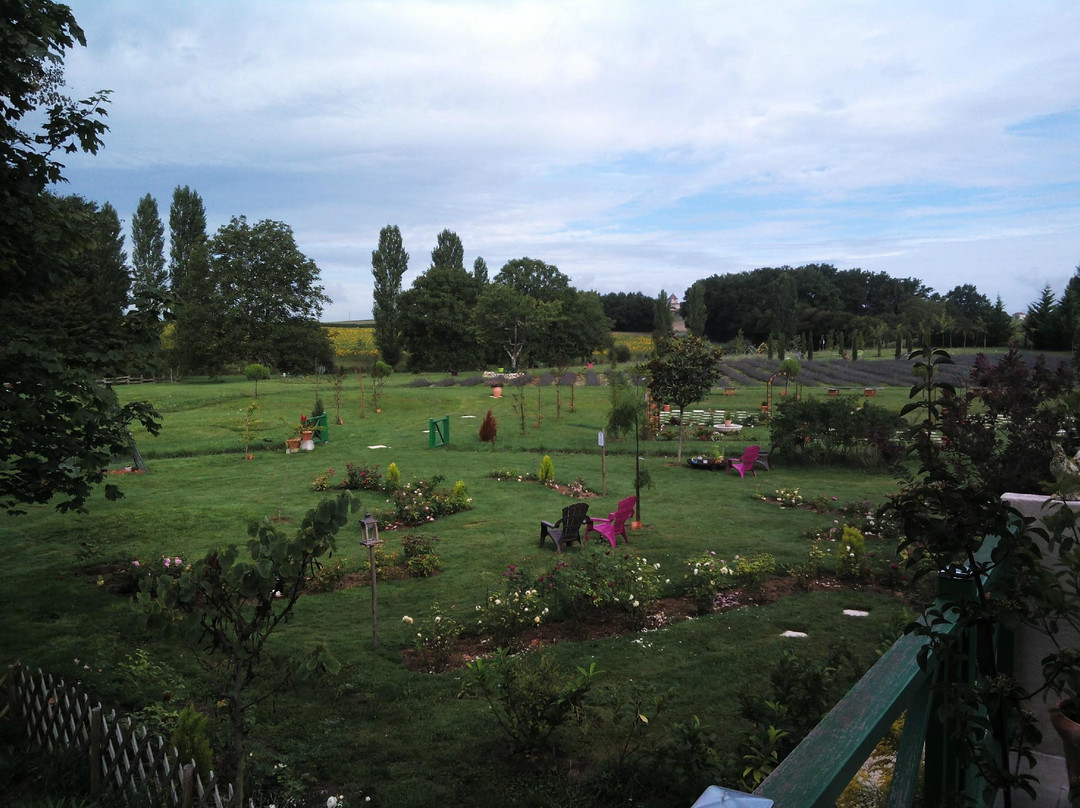 Les jardins du Coq景点图片