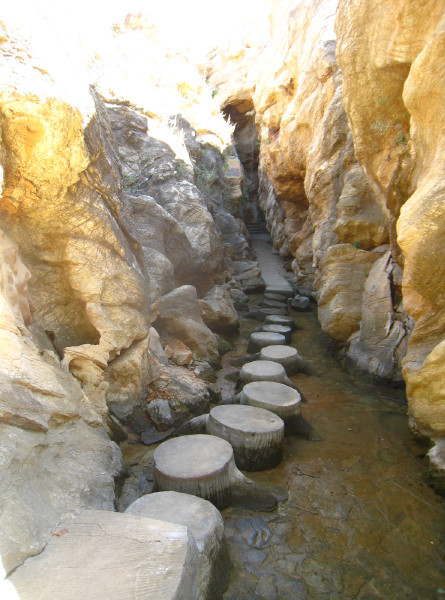 Gallery 4