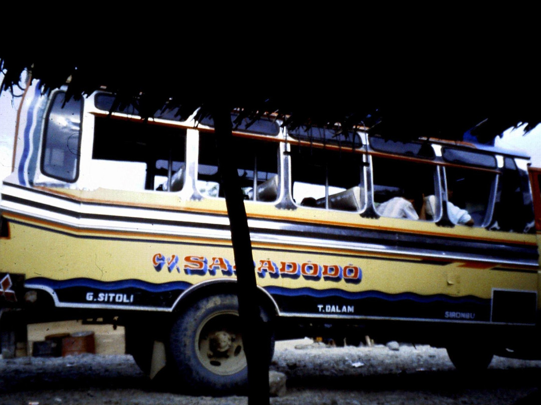 Lompat Batu (Fahombo)-Nias Island必去景点