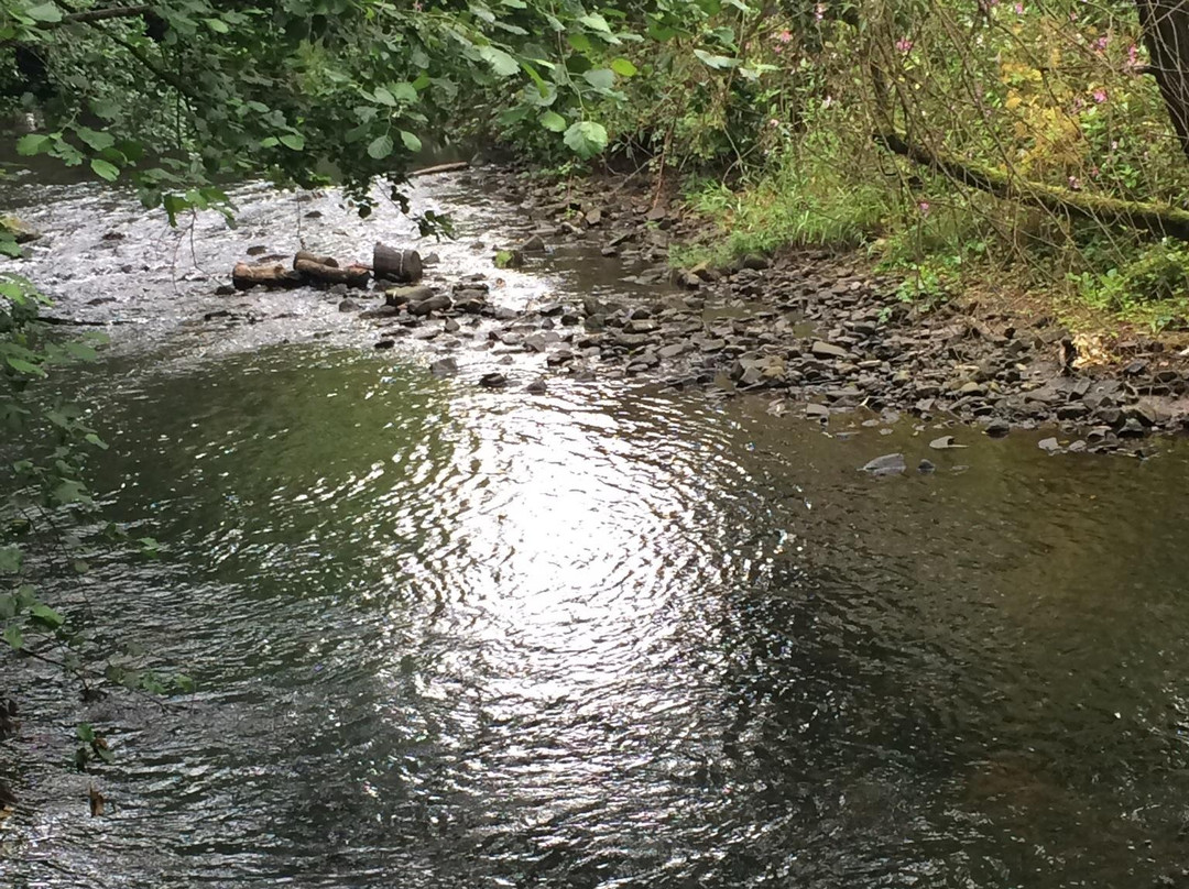 Alyn Waters Country Park-Gwersyllt必去景点