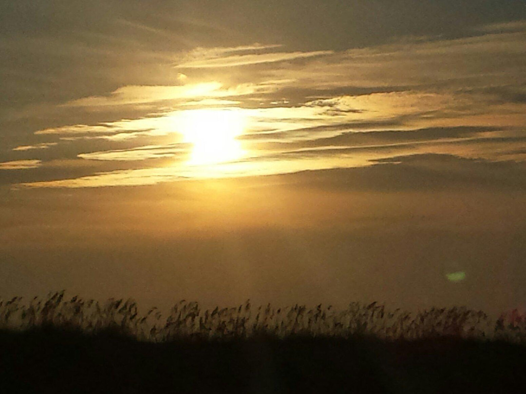 Freeman Park-卡罗来纳比奇必去景点