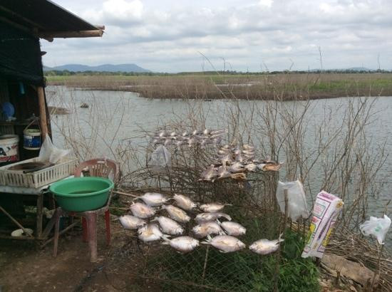 Lam Takhong Dam景点图片