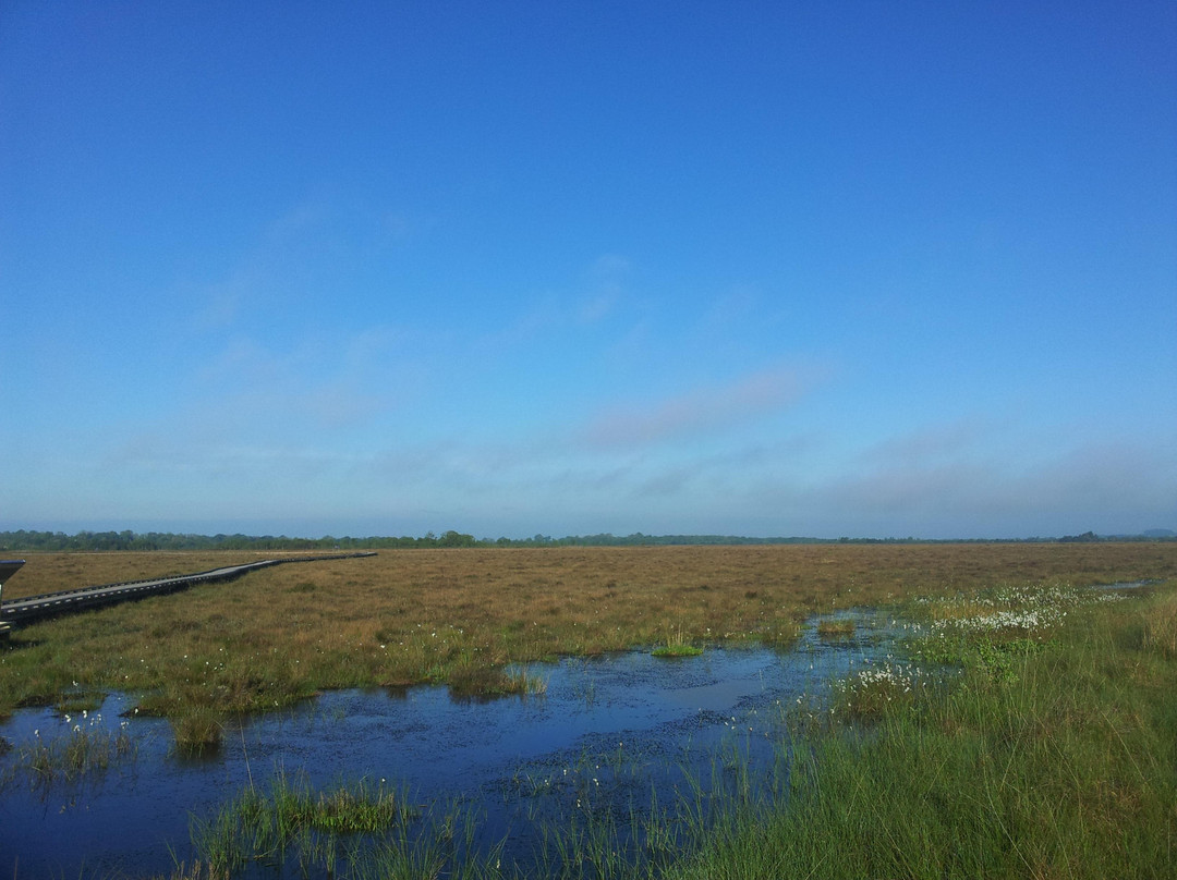 Clara Bog Visitor Centre景点图片