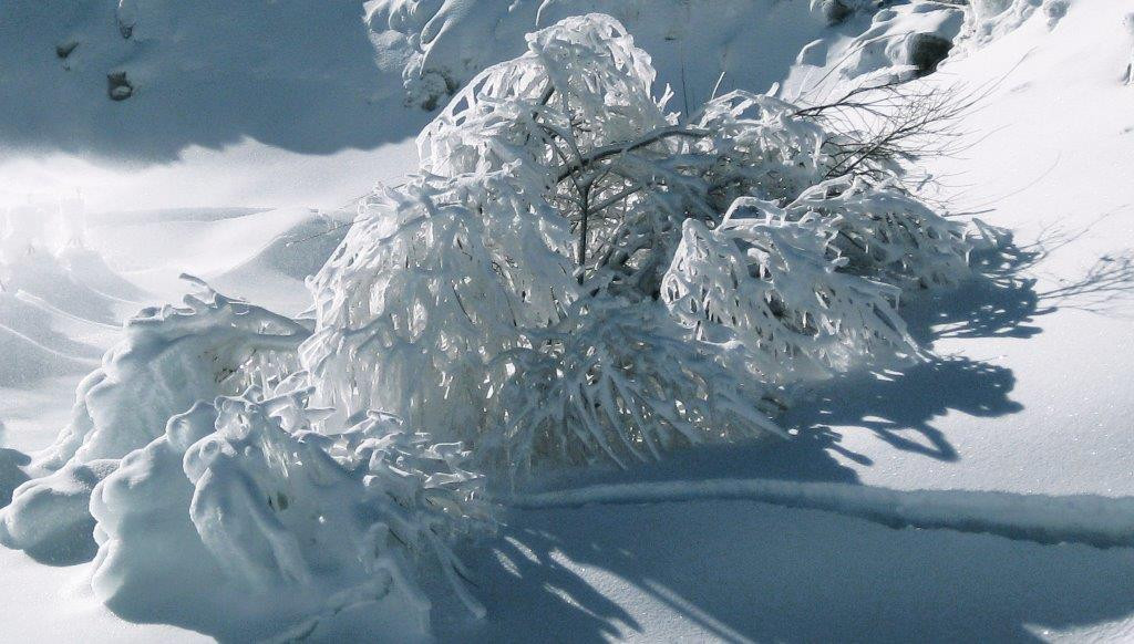 Selwyn Snow Resort-Cooma必去景点