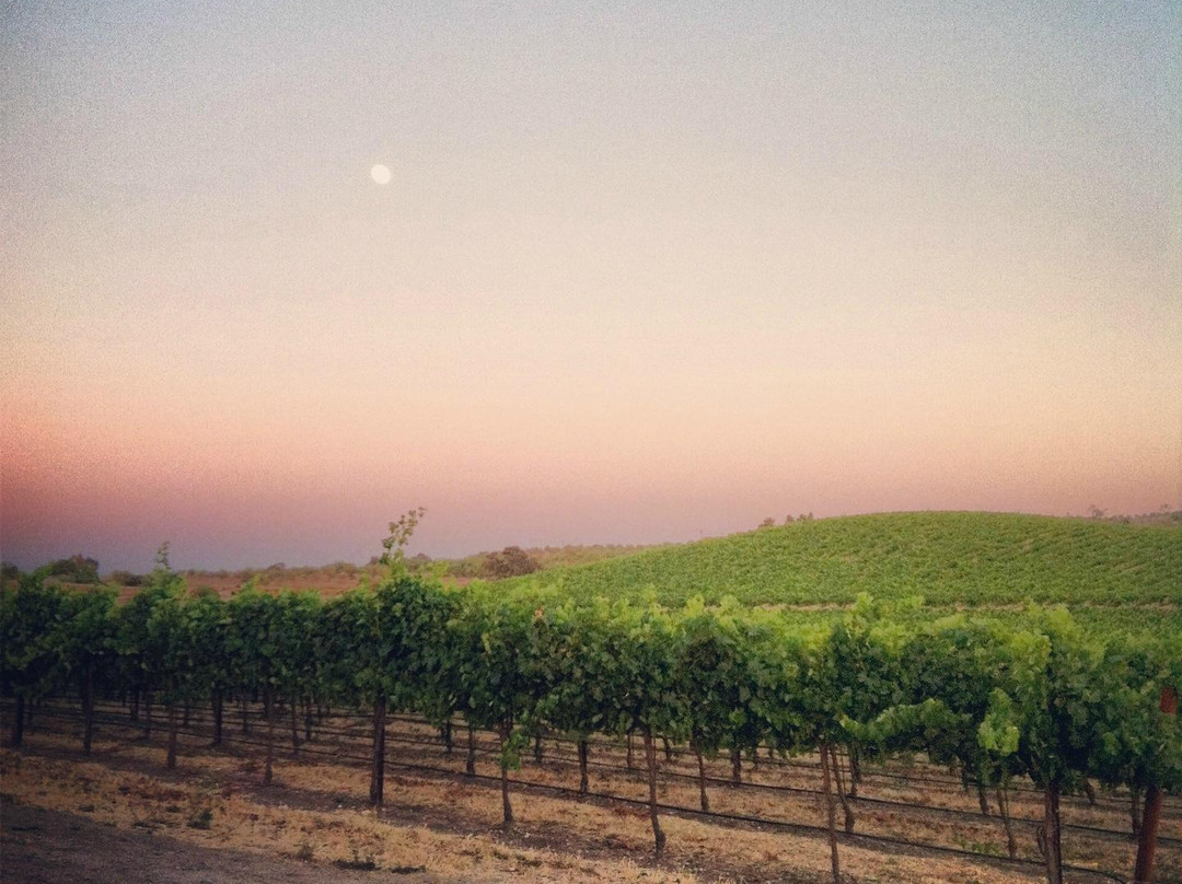 Pomar Junction Vineyard & Winery-帕索罗布尔斯必去景点