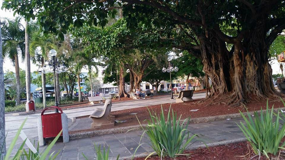 Plaza Palmer-Caguas必去景点