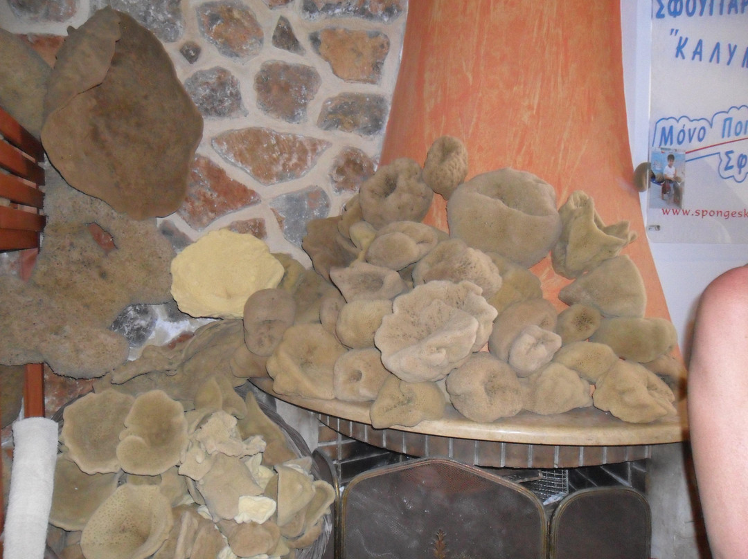 Factory of Natural Sponges-Pothia必去景点